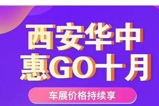 西安華中金融信息咨詢 連接資本與實體的智慧橋梁
